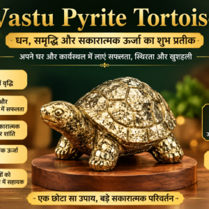 Vastu Pyrite Tortoise (Kachhua)